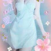 ヒメ日記 2025/04/06 10:05 投稿 愛 セクシーキャット 小田原店