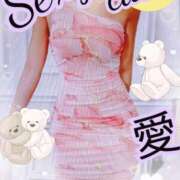 ヒメ日記 2025/04/10 10:00 投稿 愛 セクシーキャット 小田原店