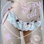 ヒメ日記 2025/04/11 13:57 投稿 愛 セクシーキャット 小田原店
