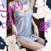 ヒメ日記 2025/04/14 22:52 投稿 愛 セクシーキャット 小田原店