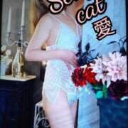 ヒメ日記 2025/04/19 11:58 投稿 愛 セクシーキャット 小田原店