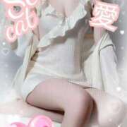 ヒメ日記 2025/04/20 10:43 投稿 愛 セクシーキャット 小田原店