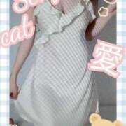 ヒメ日記 2025/04/20 22:15 投稿 愛 セクシーキャット 小田原店