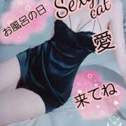 ヒメ日記 2025/04/26 07:03 投稿 愛 セクシーキャット 小田原店