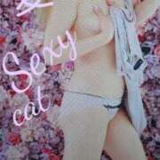 ヒメ日記 2025/04/26 22:04 投稿 愛 セクシーキャット 小田原店