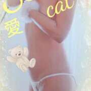 ヒメ日記 2025/04/29 00:16 投稿 愛 セクシーキャット 小田原店