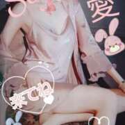 ヒメ日記 2025/05/06 13:39 投稿 愛 セクシーキャット 小田原店