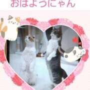 ヒメ日記 2025/05/11 06:12 投稿 愛 セクシーキャット 小田原店