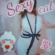 ヒメ日記 2025/05/15 12:50 投稿 愛 セクシーキャット 小田原店