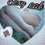 ヒメ日記 2025/05/16 21:58 投稿 愛 セクシーキャット 小田原店