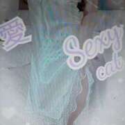 ヒメ日記 2025/05/17 11:57 投稿 愛 セクシーキャット 小田原店