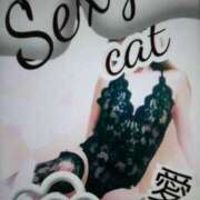 ヒメ日記 2025/05/18 12:34 投稿 愛 セクシーキャット 小田原店