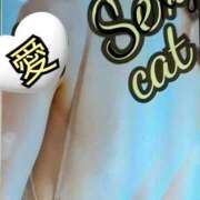 ヒメ日記 2025/05/21 13:50 投稿 愛 セクシーキャット 小田原店
