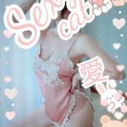 ヒメ日記 2025/05/22 22:02 投稿 愛 セクシーキャット 小田原店