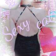 ヒメ日記 2025/06/01 10:43 投稿 愛 セクシーキャット 小田原店