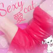 ヒメ日記 2025/06/03 12:42 投稿 愛 セクシーキャット 小田原店