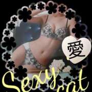 ヒメ日記 2025/06/08 12:55 投稿 愛 セクシーキャット 小田原店