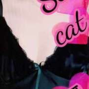 ヒメ日記 2025/06/13 12:27 投稿 愛 セクシーキャット 小田原店