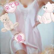 ヒメ日記 2025/06/20 12:33 投稿 愛 セクシーキャット 小田原店