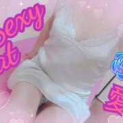 ヒメ日記 2025/06/27 12:25 投稿 愛 セクシーキャット 小田原店