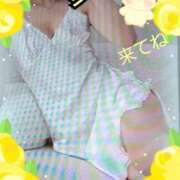 ヒメ日記 2025/06/28 13:54 投稿 愛 セクシーキャット 小田原店