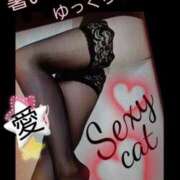 ヒメ日記 2025/07/03 21:57 投稿 愛 セクシーキャット 小田原店