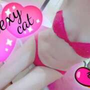 ヒメ日記 2025/07/05 13:40 投稿 愛 セクシーキャット 小田原店