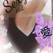 ヒメ日記 2025/07/10 11:04 投稿 愛 セクシーキャット 小田原店