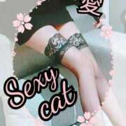 ヒメ日記 2025/07/15 23:10 投稿 愛 セクシーキャット 小田原店