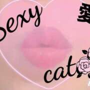 ヒメ日記 2025/07/16 22:04 投稿 愛 セクシーキャット 小田原店