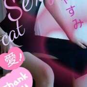 ヒメ日記 2025/07/22 00:02 投稿 愛 セクシーキャット 小田原店