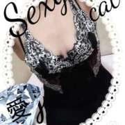 ヒメ日記 2025/07/26 12:21 投稿 愛 セクシーキャット 小田原店