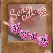 ヒメ日記 2025/07/29 21:39 投稿 愛 セクシーキャット 小田原店