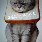 ヒメ日記 2025/07/30 08:55 投稿 愛 セクシーキャット 小田原店