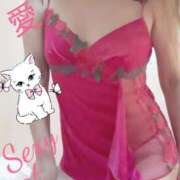 ヒメ日記 2025/08/02 12:50 投稿 愛 セクシーキャット 小田原店