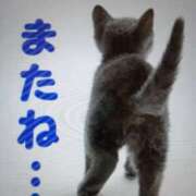 ヒメ日記 2025/08/02 23:09 投稿 愛 セクシーキャット 小田原店