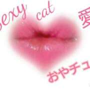 ヒメ日記 2025/08/10 20:13 投稿 愛 セクシーキャット 小田原店