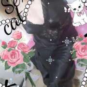 ヒメ日記 2025/08/11 19:47 投稿 愛 セクシーキャット 小田原店