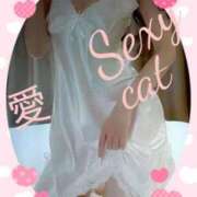 ヒメ日記 2025/08/15 21:19 投稿 愛 セクシーキャット 小田原店