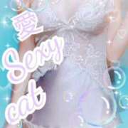 ヒメ日記 2025/08/16 11:08 投稿 愛 セクシーキャット 小田原店