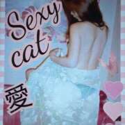 ヒメ日記 2025/08/17 06:56 投稿 愛 セクシーキャット 小田原店