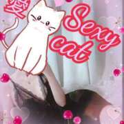 ヒメ日記 2025/08/17 21:45 投稿 愛 セクシーキャット 小田原店