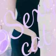 ヒメ日記 2025/08/21 11:18 投稿 愛 セクシーキャット 小田原店