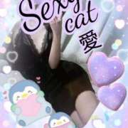 ヒメ日記 2025/08/26 22:20 投稿 愛 セクシーキャット 小田原店