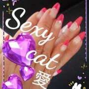 ヒメ日記 2025/08/30 11:04 投稿 愛 セクシーキャット 小田原店