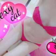 ヒメ日記 2025/08/31 23:02 投稿 愛 セクシーキャット 小田原店