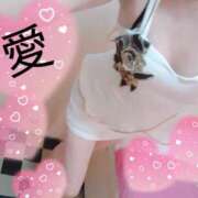 ヒメ日記 2025/09/01 22:26 投稿 愛 セクシーキャット 小田原店