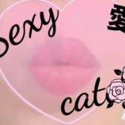 ヒメ日記 2025/09/05 21:47 投稿 愛 セクシーキャット 小田原店