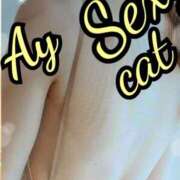 ヒメ日記 2025/09/06 13:01 投稿 愛 セクシーキャット 小田原店