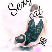 ヒメ日記 2025/09/07 11:27 投稿 愛 セクシーキャット 小田原店